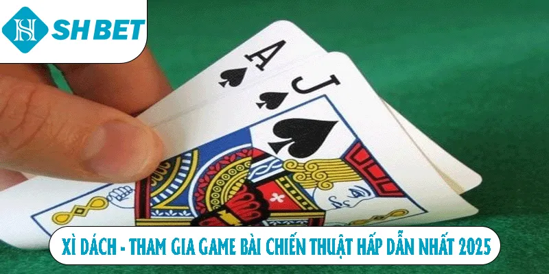 Xì dách tham gia game bài chiên thuật hấp dẫn nhất 2025